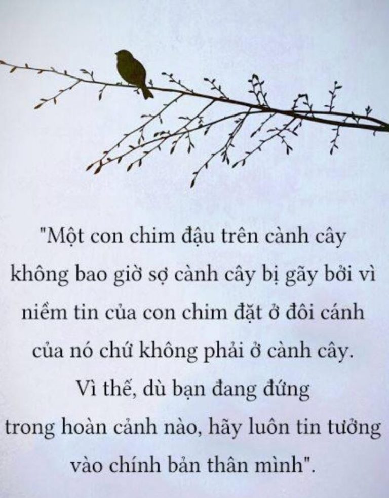 Những điều có thể bạn chưa biết