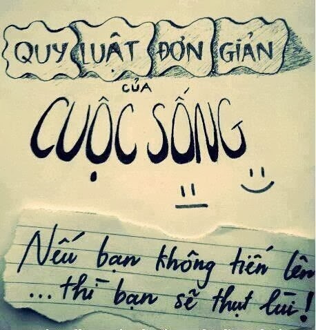 QUY LUẬT ĐƠN GIẢN CUỘC SỐNG