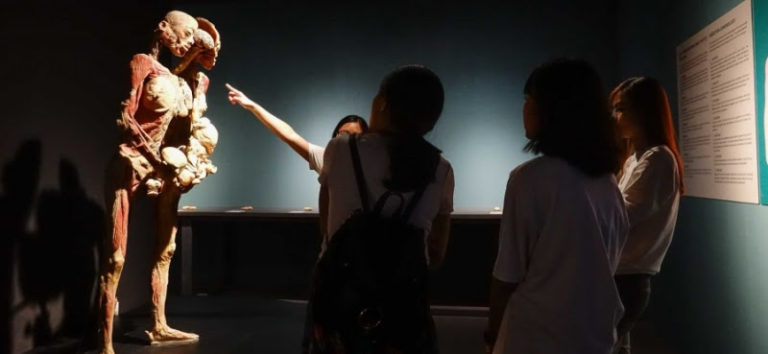 Bí mật gì ẩn sau triển lãm cơ thể người tại Việt Nam?