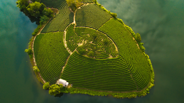 Đảo chè Thanh Chương, khám phá ” Hạ Long của xứ Nghệ “