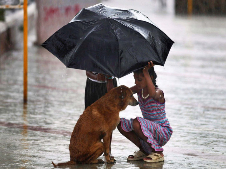 Tử tế là liều “hóa trị” cho căn bệnh tâm hồn