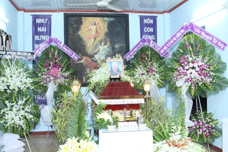 DÒNG MẾN THÁNH GIÁ THỦ THIÊM : CÂY ĐẠI THỤ ĐÃ NGÃ