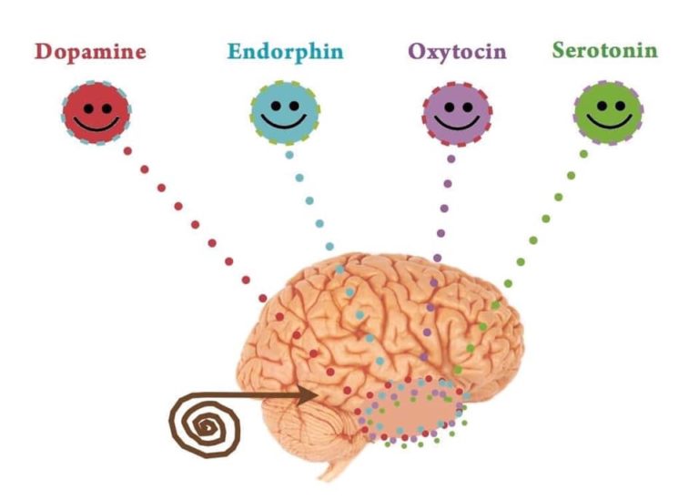 4 loại chất của Hạnh Phúc