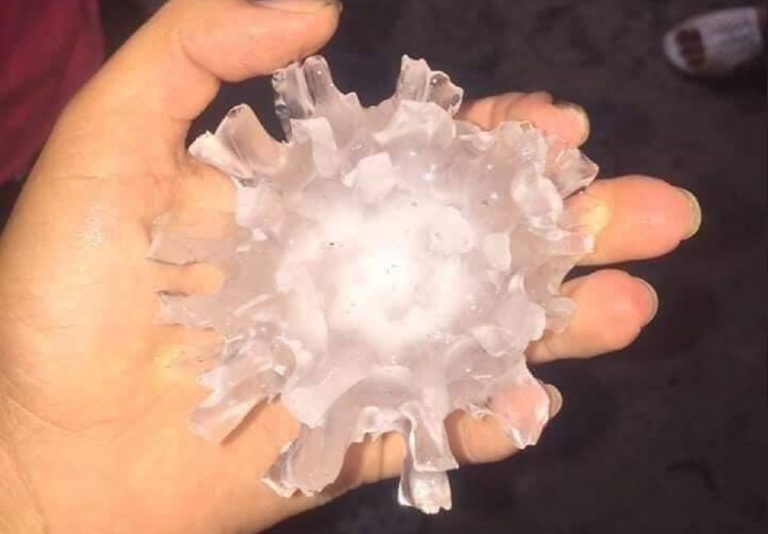 “Lệ Đá Thời Covi”