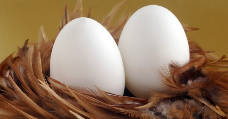 Món hời với người nghèo