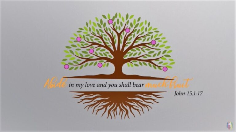 Hội đồng Đại Kết: Tuần lễ cầu nguyện cho các Kitô hữu hợp nhất (18-25/1/2021)