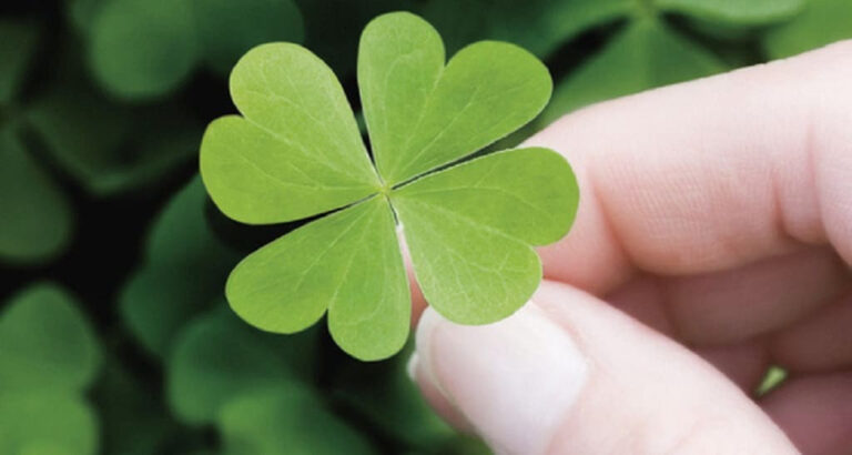 12 cách giúp bạn vượt qua khó nạn, biến nguy thành an