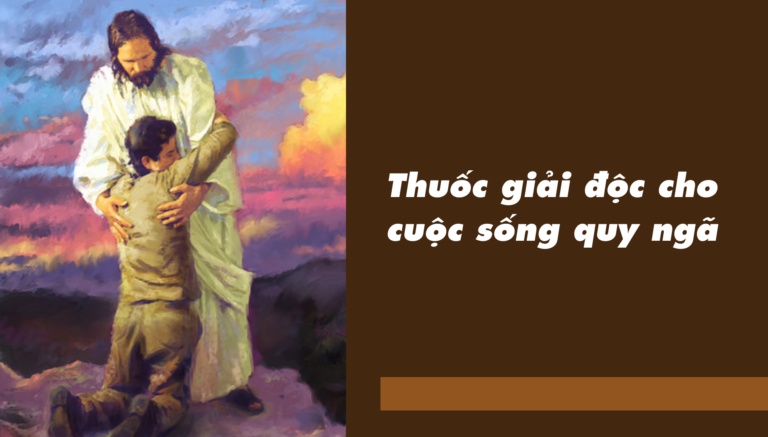 Thuốc giải độc cho cuộc sống quy ngã