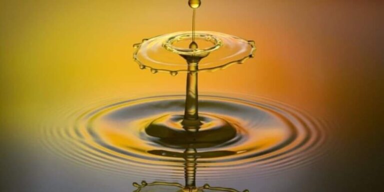 CON TRỞ THÀNH NGƯỜI BÌNH THƯỜNG…!