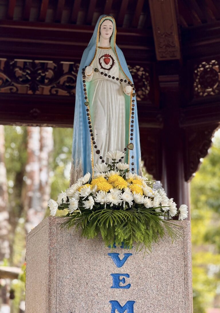 CANH THỨC SUY NIỆM –  MỪNG LỄ ĐỨC MARIA DÂNG MÌNH TRONG ĐỀN THỜ – Lm. Anmai, CSsR
