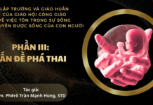 LẬP TRƯỜNG VÀ GIÁO HUẤN CỦA GIÁO HỘI CÔNG GIÁO VỀ VIỆC TÔN TRỌNG SỰ SỐNG VÀ QUYỀN ĐƯỢC SỐNG CỦA CON NGƯỜI, PHẦN 3 – VẤN ĐỀ PHÁ THAI