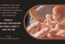LẬP TRƯỜNG VÀ GIÁO HUẤN CỦA GIÁO HỘI CÔNG GIÁO VỀ VIỆC TÔN TRỌNG SỰ SỐNG VÀ QUYỀN ĐƯỢC SỐNG CỦA CON NGƯỜI, PHẦN 2 – PHẨM GIÁ CON NGƯỜI: NỀN TẢNG LUÂN LÝ CHO XÃ HỘI