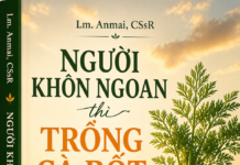 NGƯỜI KHÔN NGOAN THÌ TRỒNG CÀ RỐT – Lm. Anmai, CSsR