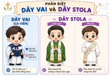 PHÂN BIỆT “DÂY VAI” VÀ DÂY STOLA TRONG PHỤNG VỤ – Lm. Anmai, CSsR