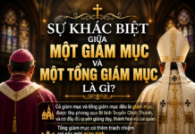 SỰ KHÁC NHAU GIỮA MỘT GIÁM MỤC VÀ MỘT TỔNG GIÁM MỤC LÀ GÌ?