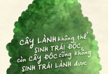 Chút mắm muối cho đời ngày 18 ngày 18 tháng 8 Lm. Anmai, CSsR