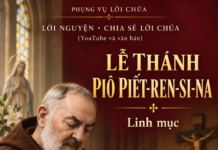 Phụng vụ Lời Chúa – Lời nguyện – Chia sẻ Lời Chúa (Youtube và văn bản) Lễ Thánh Pi-ô Pi-ết-ren-si-na, linh mục – Lm. Anmai, CSsR