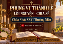 Phụng Vụ Thánh Lễ – Lời nguyện – Chia sẻ (Youtube & bản văn) Chúa Nhật XXVI TN – Lm. Anmai, CSsR