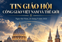 TIN GIÁO HỘI CÔNG GIÁO VIỆT NAM VÀ THẾ GIỚI Ngày thứ Năm, 24 tháng 9 năm 2026 Lm. Anmai, CSsR tổng hợp