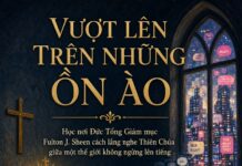 VƯỢT LÊN TRÊN NHỮNG ỒN ÀO – Lm. Anmai, CSsR