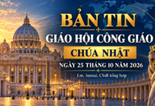 BẢN TIN GIÁO HỘI THẾ GIỚI VÀ VIỆT NAM Chúa nhật ngày 25 tháng 10 năm 2026 – Lm. Anmai, CSsR