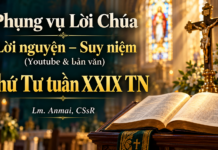 Phụng vụ Lời Chúa – Lời nguyện – Suy niệm (Youtube & bản văn) Thứ Tư tuần XXIX TN – Lm. Anmai, CSsR