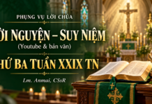 Phụng vụ Lời Chúa – Lời nguyện – Suy niệm (Youtube & bản văn) Thứ Ba tuần XXIX TN – Lm. Anmai, CSsR