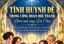 TÌNH HUYNH ĐỆ TRONG CỘNG ĐOÀN HỘI THÁNH Dưới ánh sáng Lời Chúa Học hỏi Mt 18,15-20 và các bản văn liên hệ Chia sẻ để học, để giảng, để xét mình Lm. Anmai, CSsR