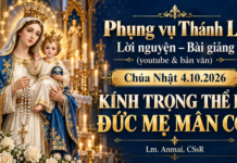 Phụng vụ Thánh Lễ – Lời nguyện – Bài giảng (youtube & bản văn) Chúa Nhật 4.10.2026 – Kính trọng thể lễ Đức Mẹ Mân Côi – Lm. Anmai, CSsR