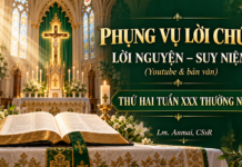 Phụng vụ Lời Chúa – Lời nguyện – Suy niệm (Youtube & bản văn) Thứ Hai tuần XXXX TN – Lm. Anmai, CSsR