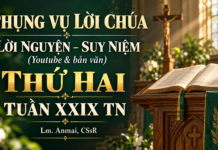 Phụng vụ Lời Chúa – Lời nguyện – Suy niệm (Youtube & bản văn) Thứ Hai tuần XXIX TN – Lm. Anmai, CSsR