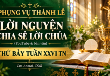 Phụng Vụ Thánh Lễ – Lời nguyện – Chia sẻ Lời Chúa (youtube & bản văn) thứ Bảy tuần XXVI TN – Lm. Anmai, CSsR
