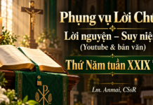 Phụng vụ Lời Chúa – Lời nguyện – Suy niệm (Youtube & bản văn) Thứ Năm tuần XXIX TN – Lm. Anmai, CSsR