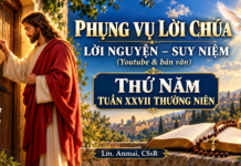 Phụng vụ Lời Chúa – Lời nguyện – Suy niệm (Youtube & bản văn) Lễ Thứ Năm tuần XXVII TN – Lm. Anmai, CSsR