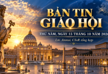 BẢN TIN GIÁO HỘI CÔNG GIÁO NGÀY 15 THÁNG 10 NĂM 2026 Lm. Anmai, CSsR tổng hợp