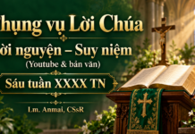 Phụng vụ Lời Chúa – Lời nguyện – Suy niệm (Youtube & bản văn) Sáu tuần XXXX TN – Lm. Anmai, CSsR