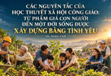 CÁC NGUYÊN TẮC CỦA HỌC THUYẾT XÃ HỘI CÔNG GIÁO: TỪ PHẨM GIÁ CON NGƯỜI ĐẾN MỘT ĐỜI SỐNG ĐƯỢC XÂY DỰNG BẰNG TÌNH YÊU Lm. Anmai, CSsR.