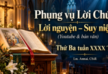 Phụng vụ Lời Chúa – Lời nguyện – Suy niệm (Youtube & bản văn) Thứ Ba tuần XXXX TN – Lm. Anmai, CSsR