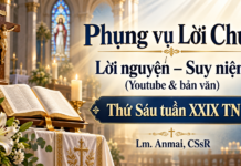 Phụng vụ Lời Chúa – Lời nguyện – Suy niệm (Youtube & bản văn) Sáu tuần XXIX TN – Lm. Anmai, CSsR