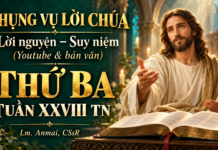 Phụng vụ Lời Chúa – Lời nguyện – Suy niệm (Youtube & bản văn) Thứ Ba tuần XXVIII TN – Lm. Anmai, CSsR