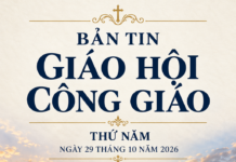 TIN GIÁO HỘI CÔNG GIÁO NGÀY 29 THÁNG 10 – 2026 Lm. Anmai, CSsR tổng hợp