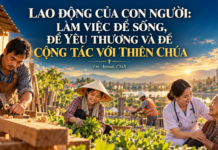 LAO ĐỘNG CỦA CON NGƯỜI: LÀM VIỆC ĐỂ SỐNG, ĐỂ YÊU THƯƠNG VÀ ĐỂ CỘNG TÁC VỚI THIÊN CHÚA Lm. Anmai, CSsR.