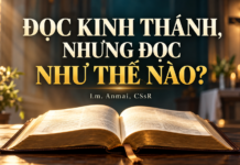 ĐỌC KINH THÁNH, NHƯNG ĐỌC NHƯ THẾ NÀO? – Lm. Anmai, CSsR