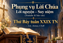 Phụng vụ Lời Chúa – Lời nguyện – Suy niệm (Youtube & bản văn) Thứ Bảy tuần XXIX TN – Lm. Anmai, CSsR