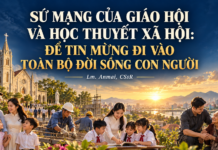 SỨ MẠNG CỦA GIÁO HỘI VÀ HỌC THUYẾT XÃ HỘI: ĐỂ TIN MỪNG ĐI VÀO TOÀN BỘ ĐỜI SỐNG CON NGƯỜI – Lm. Anmai, CSsR