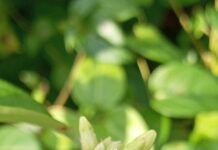 KHI TRÍ TUỆ VƯƠN TỚI CÁC VÌ SAO, XIN ĐỪNG ĐỂ TÂM HỒN QUÊN ĐẤNG TẠO THÀNH