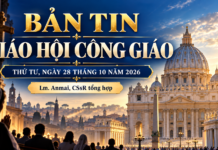 TIN GIÁO HỘI CÔNG GIÁO NGÀY 28 THÁNG 11 NĂM 2026 Lm. Anmai, CSsR tổng hợp TRƯỚC KHI ĐƯỢC SAI ĐI, HÃY Ở LẠI VỚI CHÚA