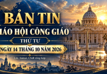 BẢN TIN GIÁO HỘI THỨ TƯ, NGÀY 14 THÁNG 10 NĂM 2026 Linh mục Anmai, CSsR tổng hợp