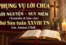 Phụng vụ Lời Chúa – Lời nguyện – Suy niệm (Youtube & bản văn) Thứ Sáu tuần XXVIII TN – Lm. Anmai, CSsR