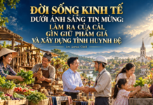 ĐỜI SỐNG KINH TẾ DƯỚI ÁNH SÁNG TIN MỪNG: LÀM RA CỦA CẢI, GÌN GIỮ PHẨM GIÁ VÀ XÂY DỰNG TÌNH HUYNH ĐỆ Lm. Anmai, CSsR.